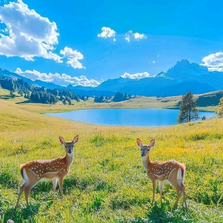 五口之家💞💖冉大伟