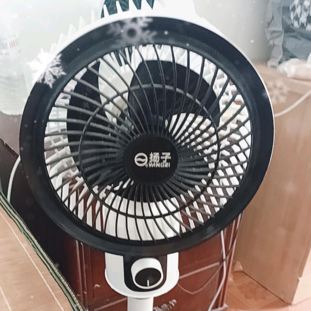 小绵羊