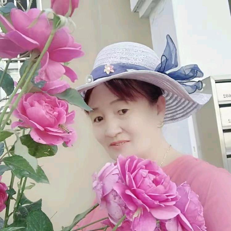潇洒浪一趟