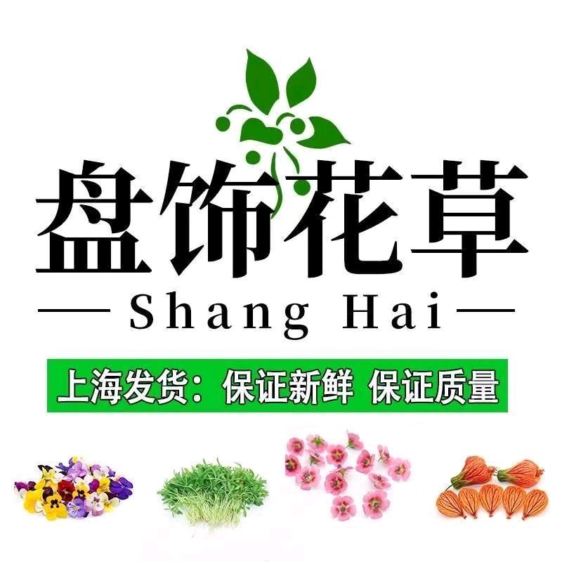 绿圈圈盘饰花草