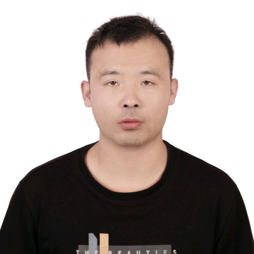 专业赛鸽直播