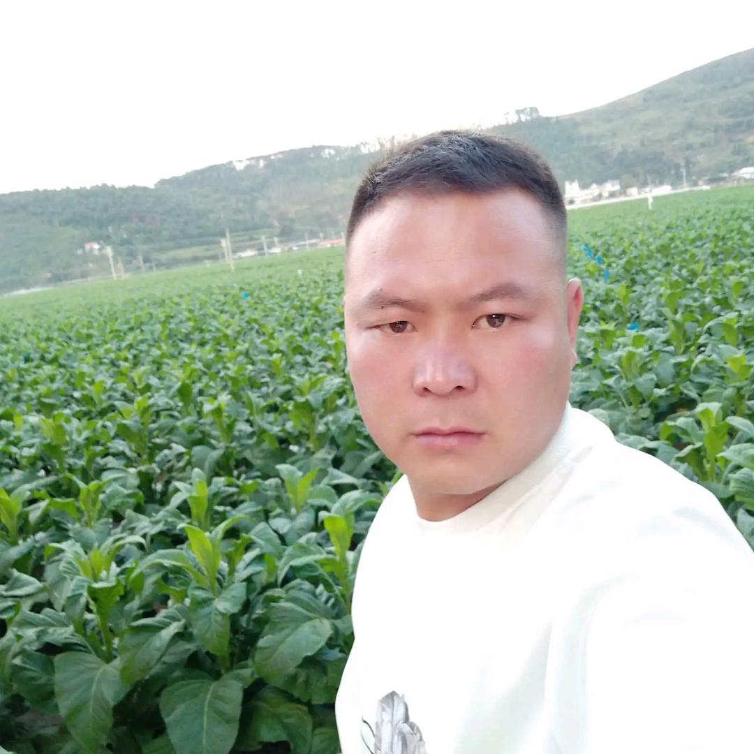 现实总是让人寒心