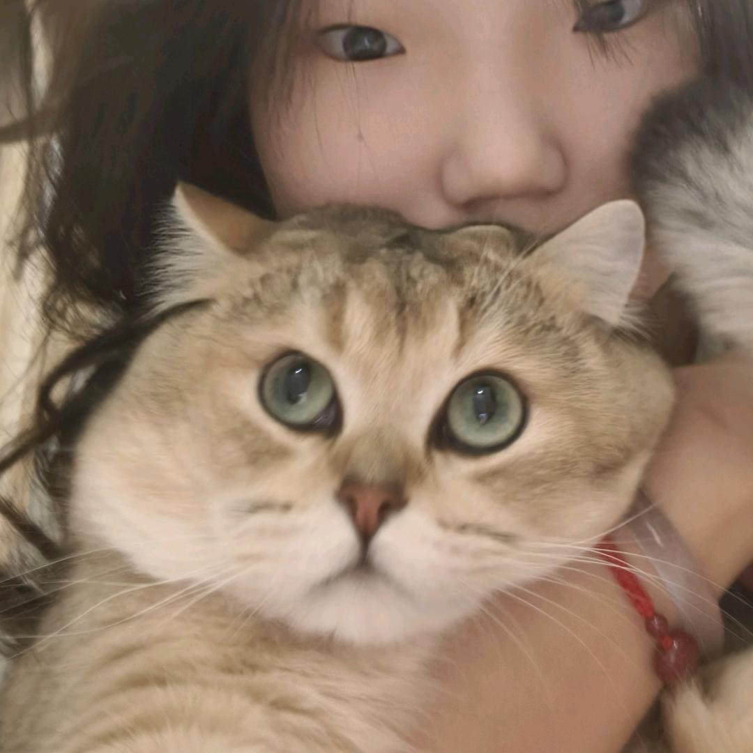听竹