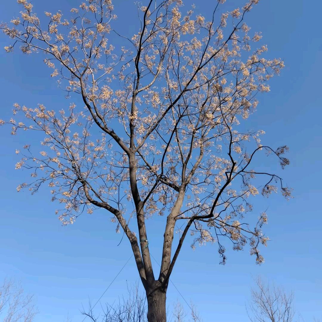 慢慢其漫漫