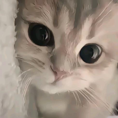 心情不好都怪你