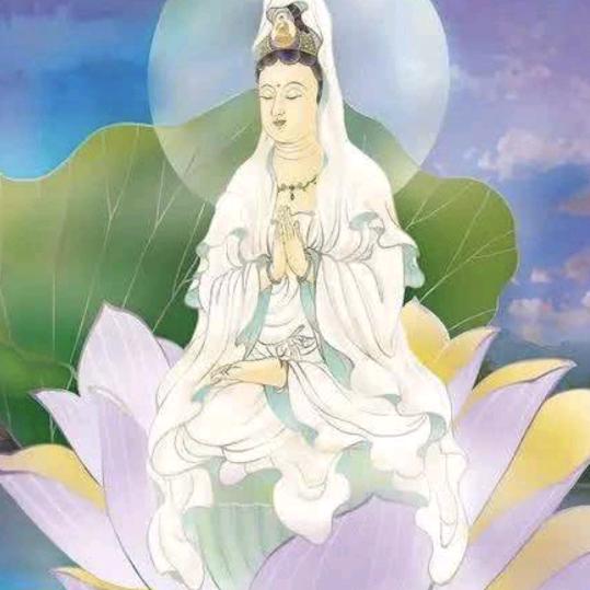 🐰MIAO——LI🙏🙏🙏🐰