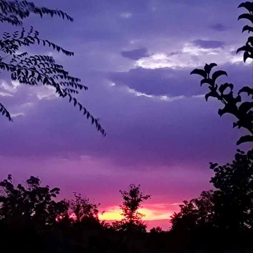 $伊羊天禧(ﾉಥ益ಥ)