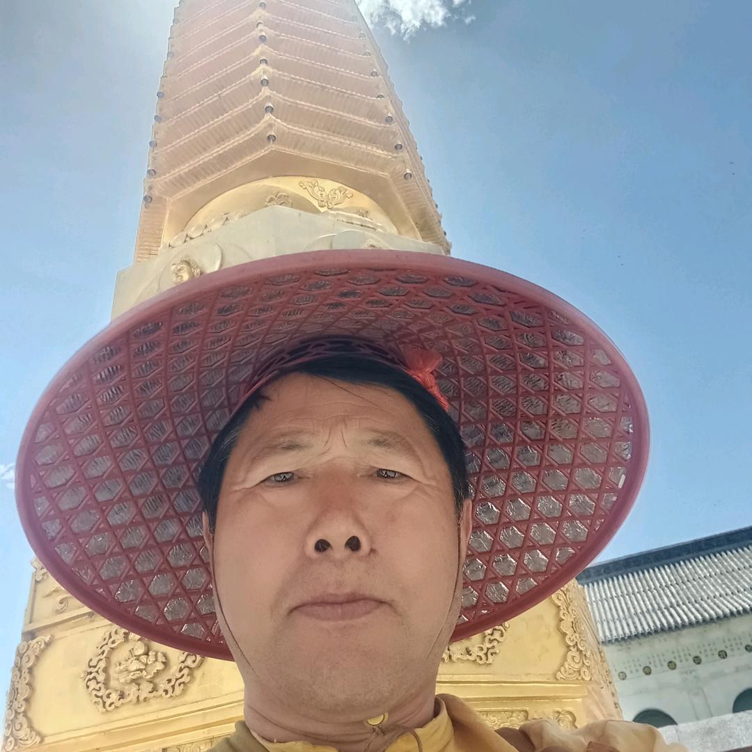 金佛缘