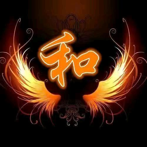 宠小傻瓜