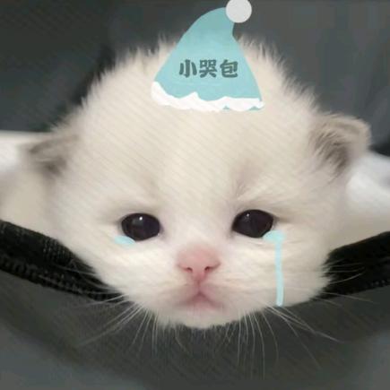 抠鼻嘎赏你吃