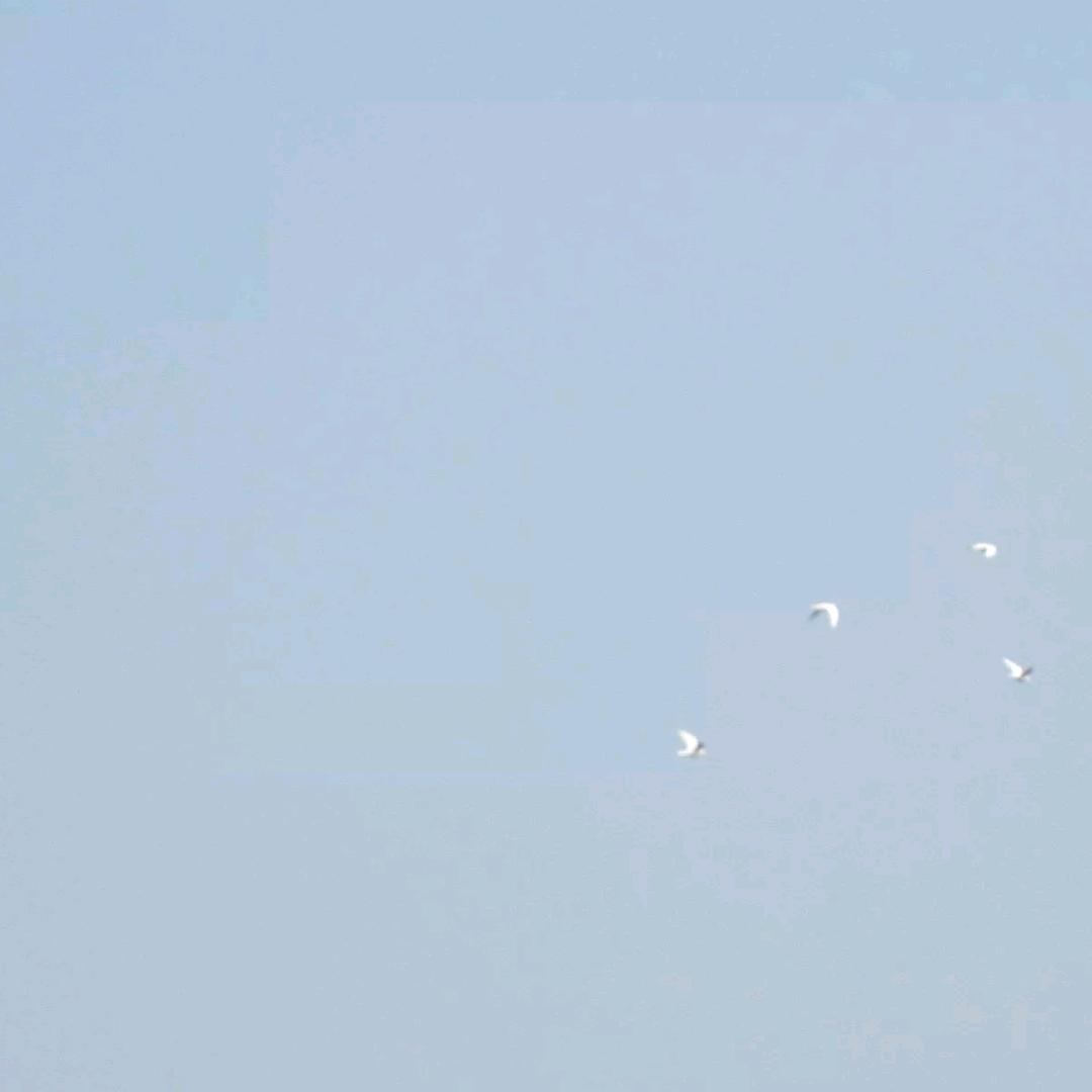 嘟嘟嘟嘟嘟嘟