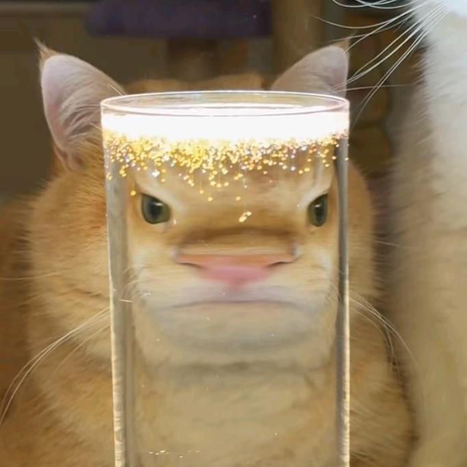 枫