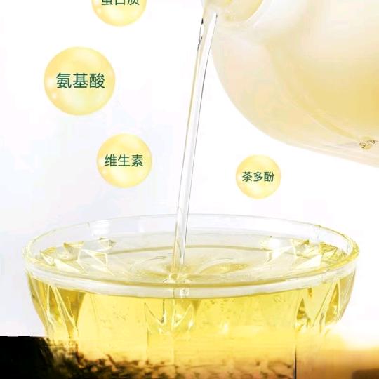 山茶油源头的头像