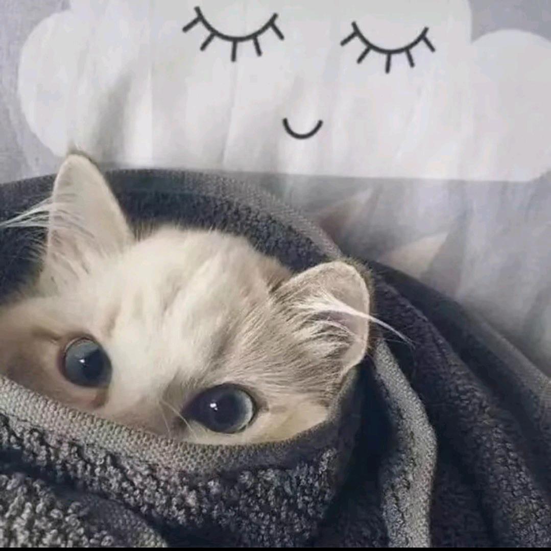 小情武