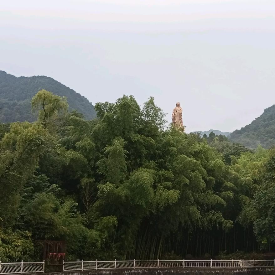 和太极（四川1号）