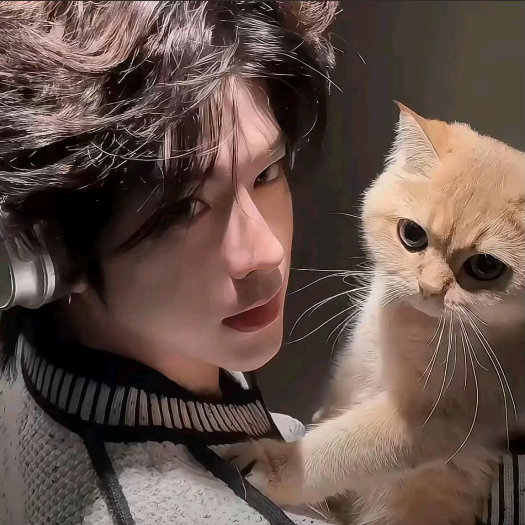 月亮不睡我不睡