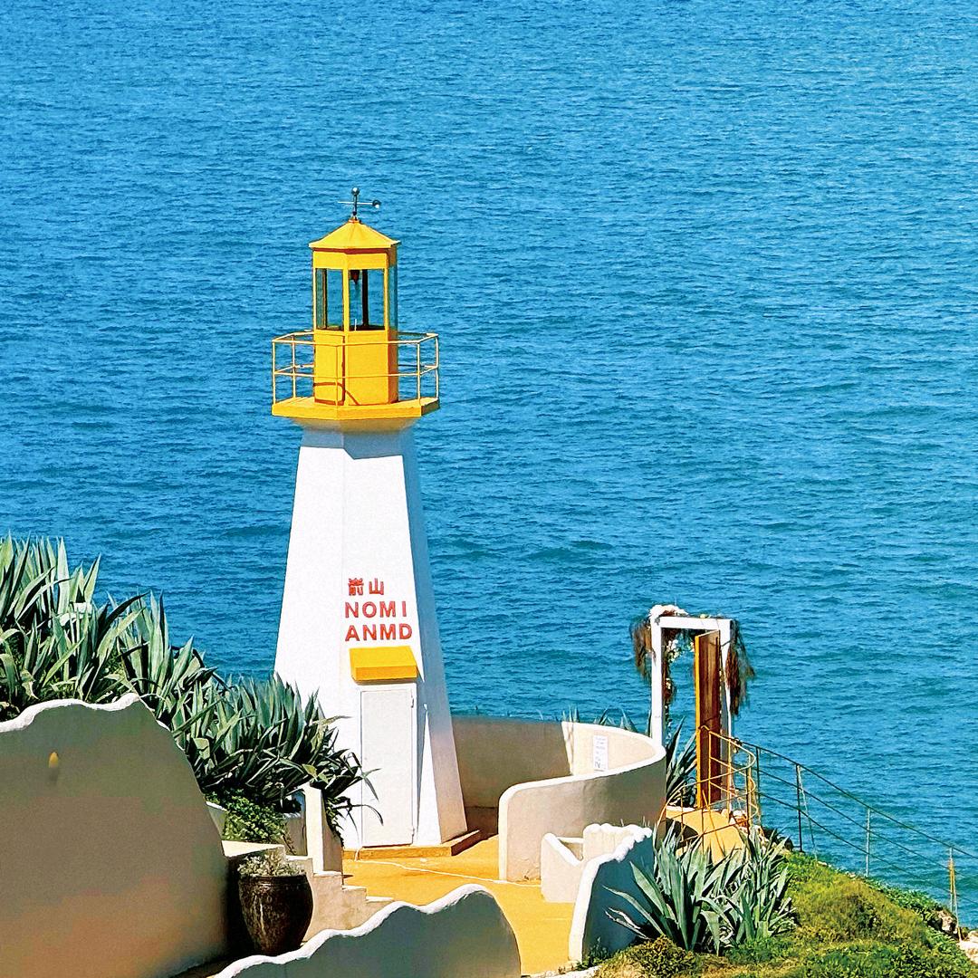 🌻白天撒欢的懒猫🌻