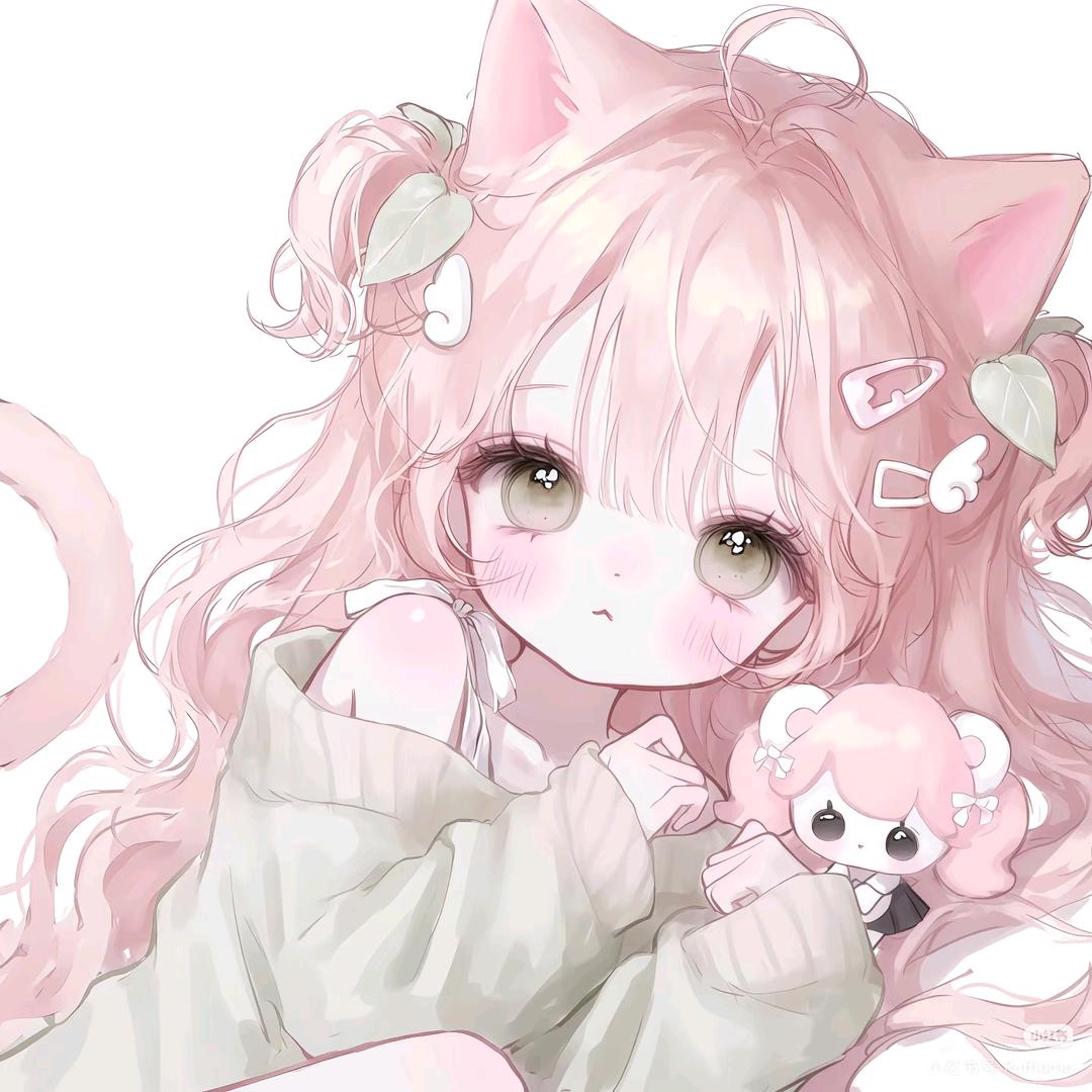 兔子🐰
