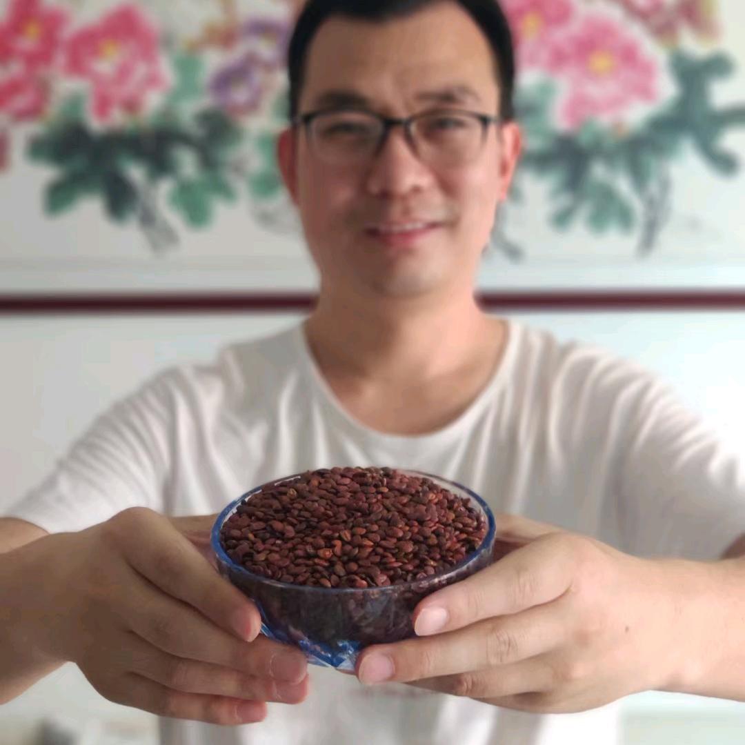 振铎山庄冯庄主