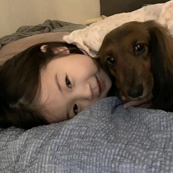 ：❣️