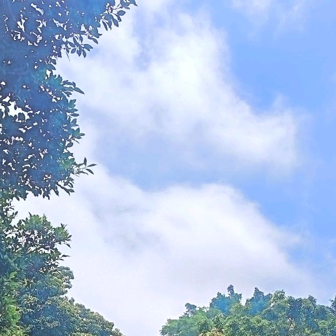 meiyou