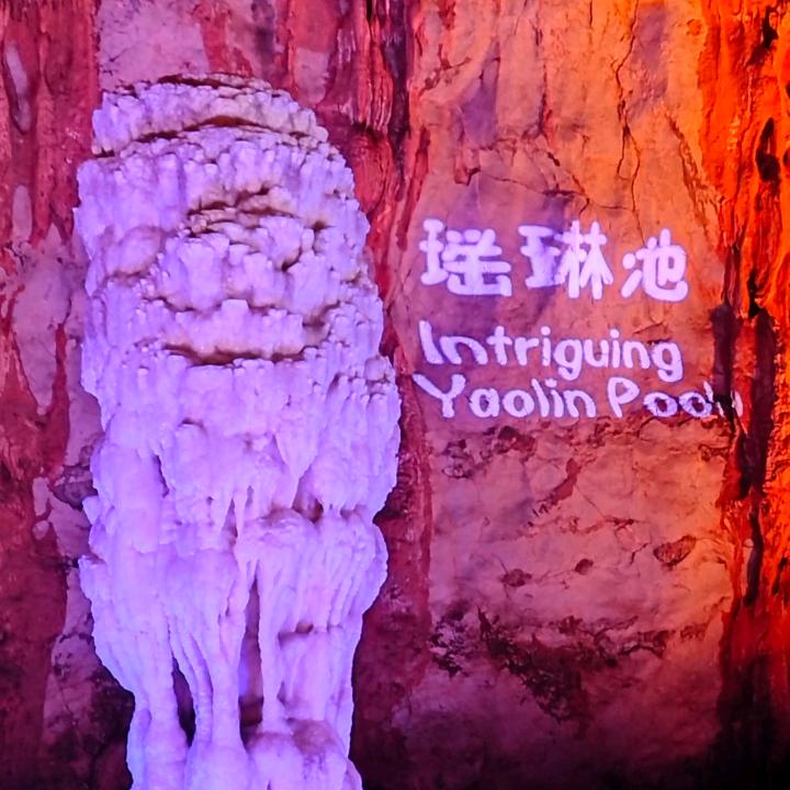 高歌达马