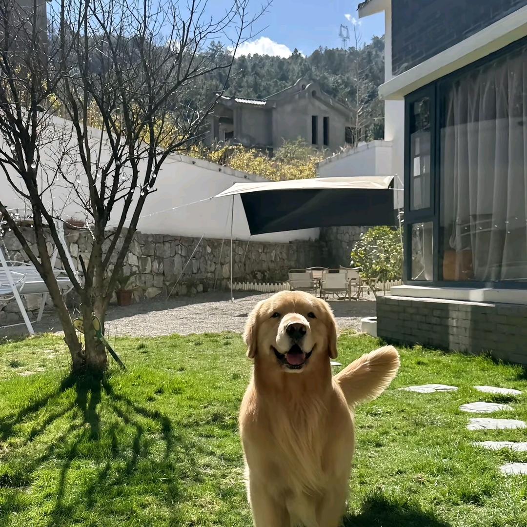 ⁥⁥