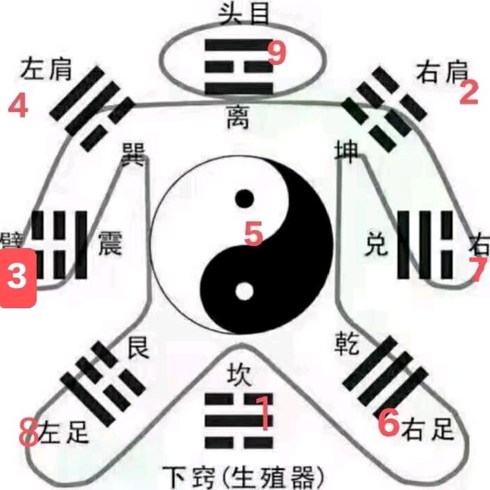 皮肤病研究与康复