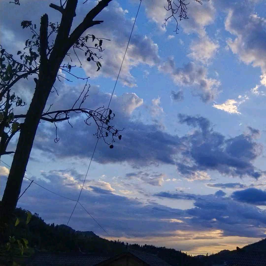 春