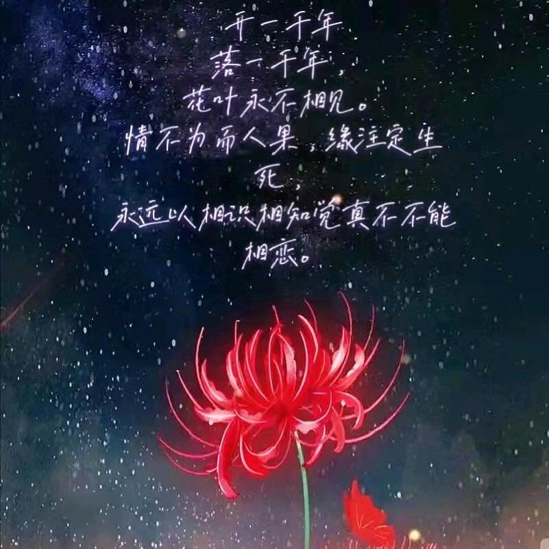 彼岸花