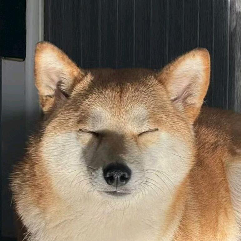 醒醒吧