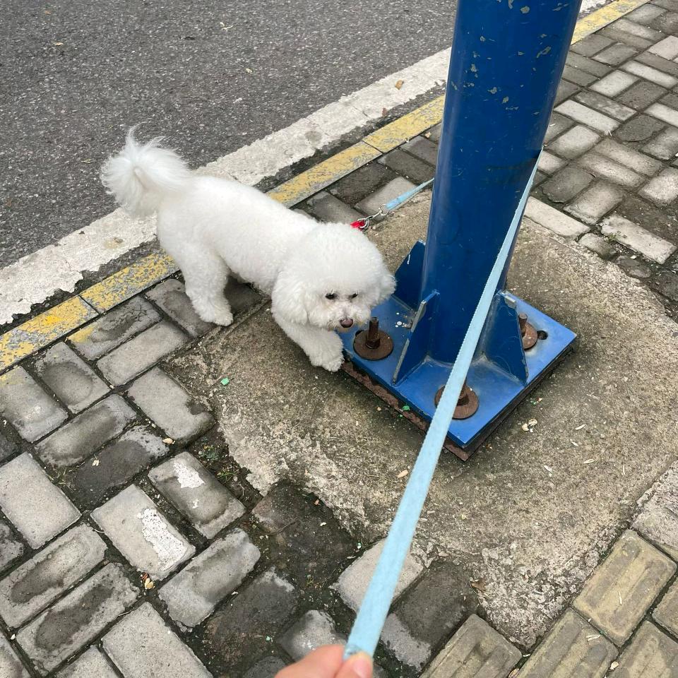 经济