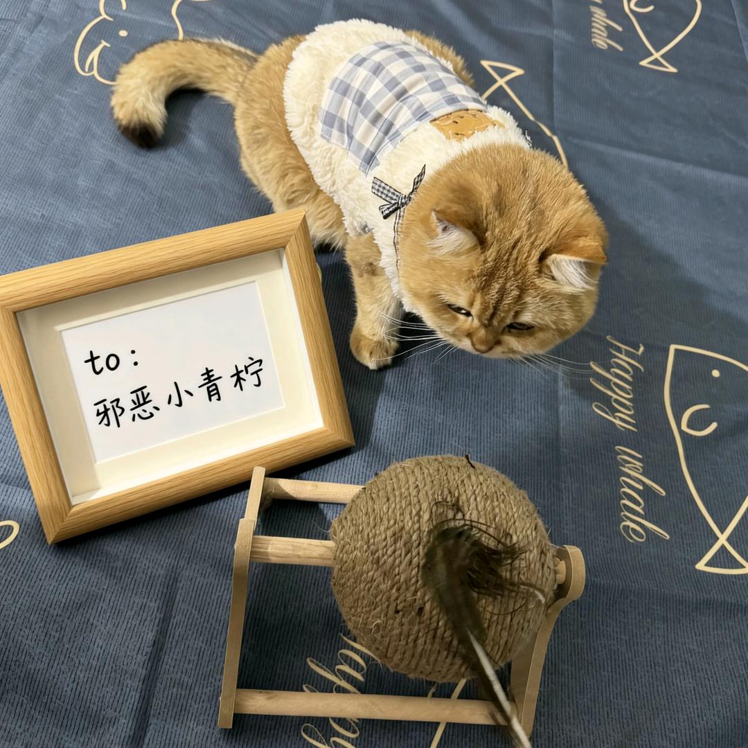 邪恶小青柠🥦ᴿᙆ