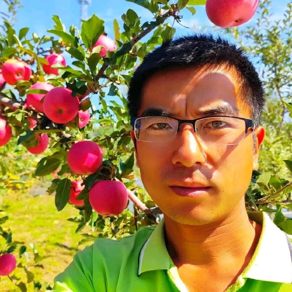 泾川小盖瓜果代办