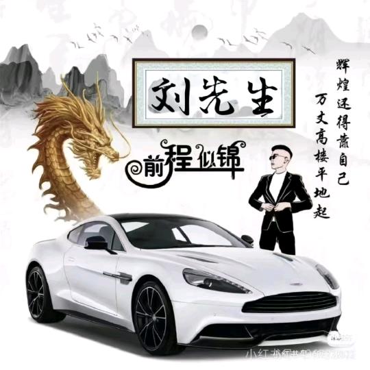 辉煌人生