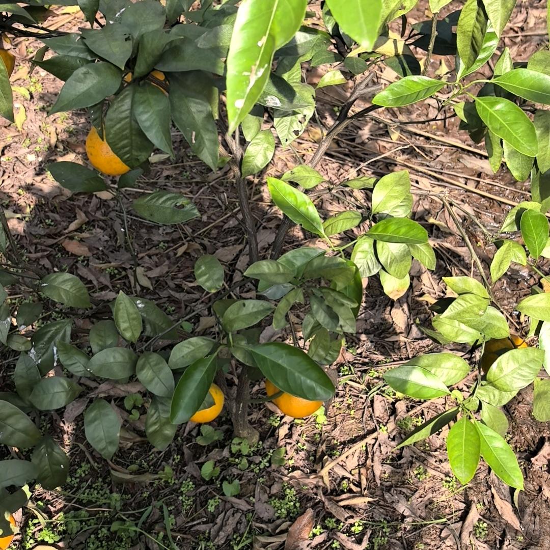 少妇杀手😘😘