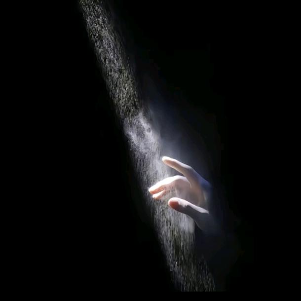 小鱼