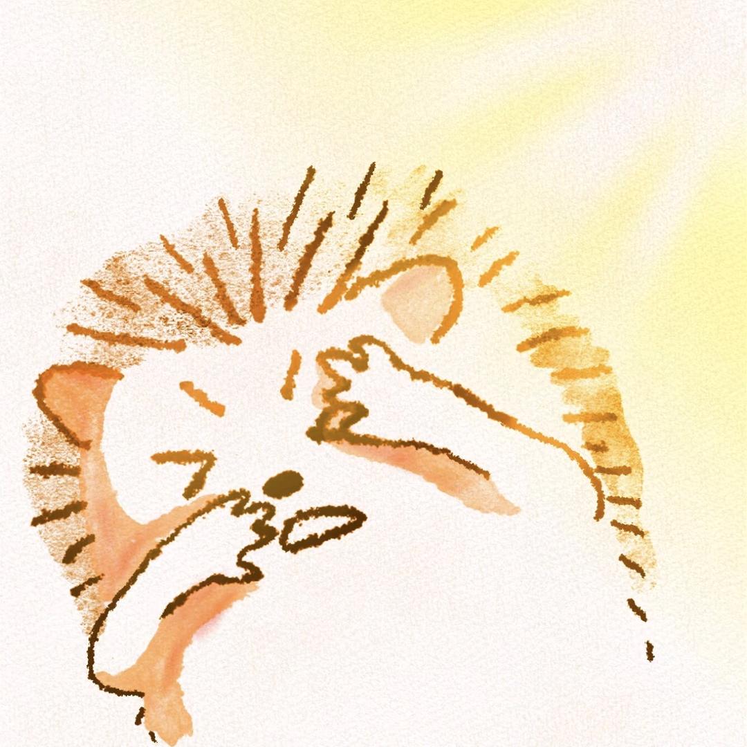 卖钢的大脸