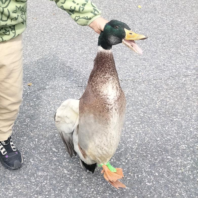 陈法学技术专家<2>