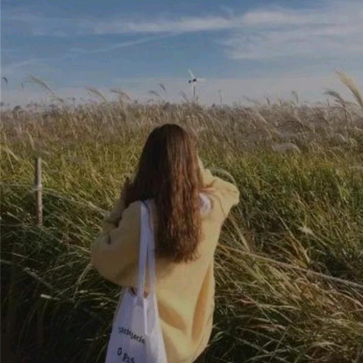 小七🤗