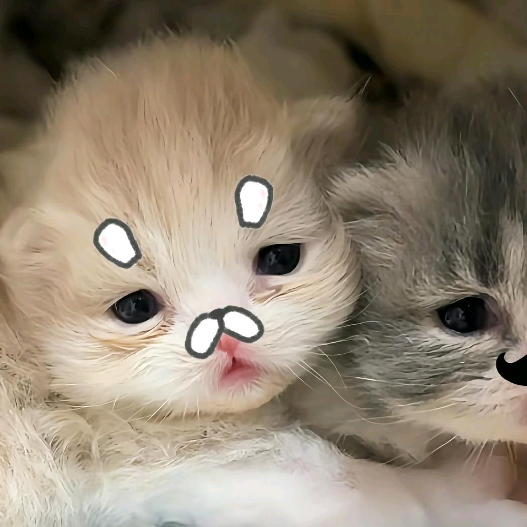 魔丸控