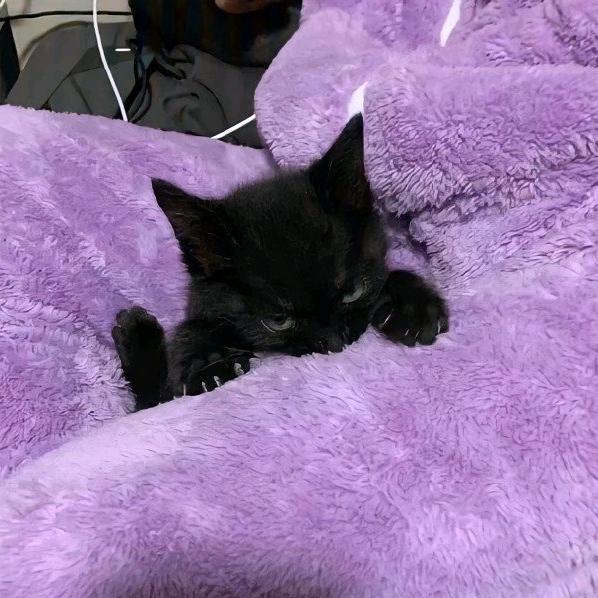 睡不醒.（下次粉fo300f）