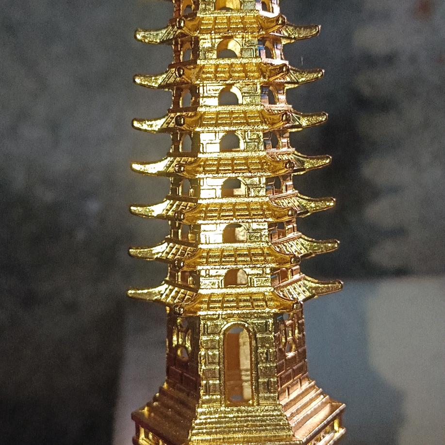 我是你小镜鸵单身大哥