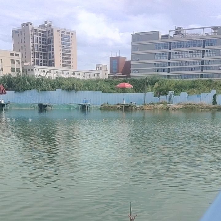 ༄༒浊酒🍻敬晚风༈༼