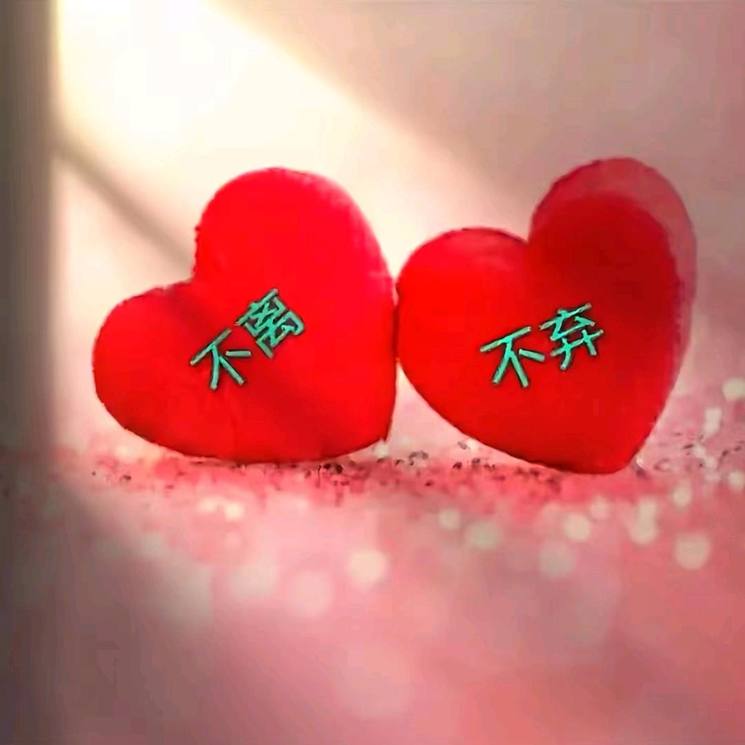人丑嘴贱