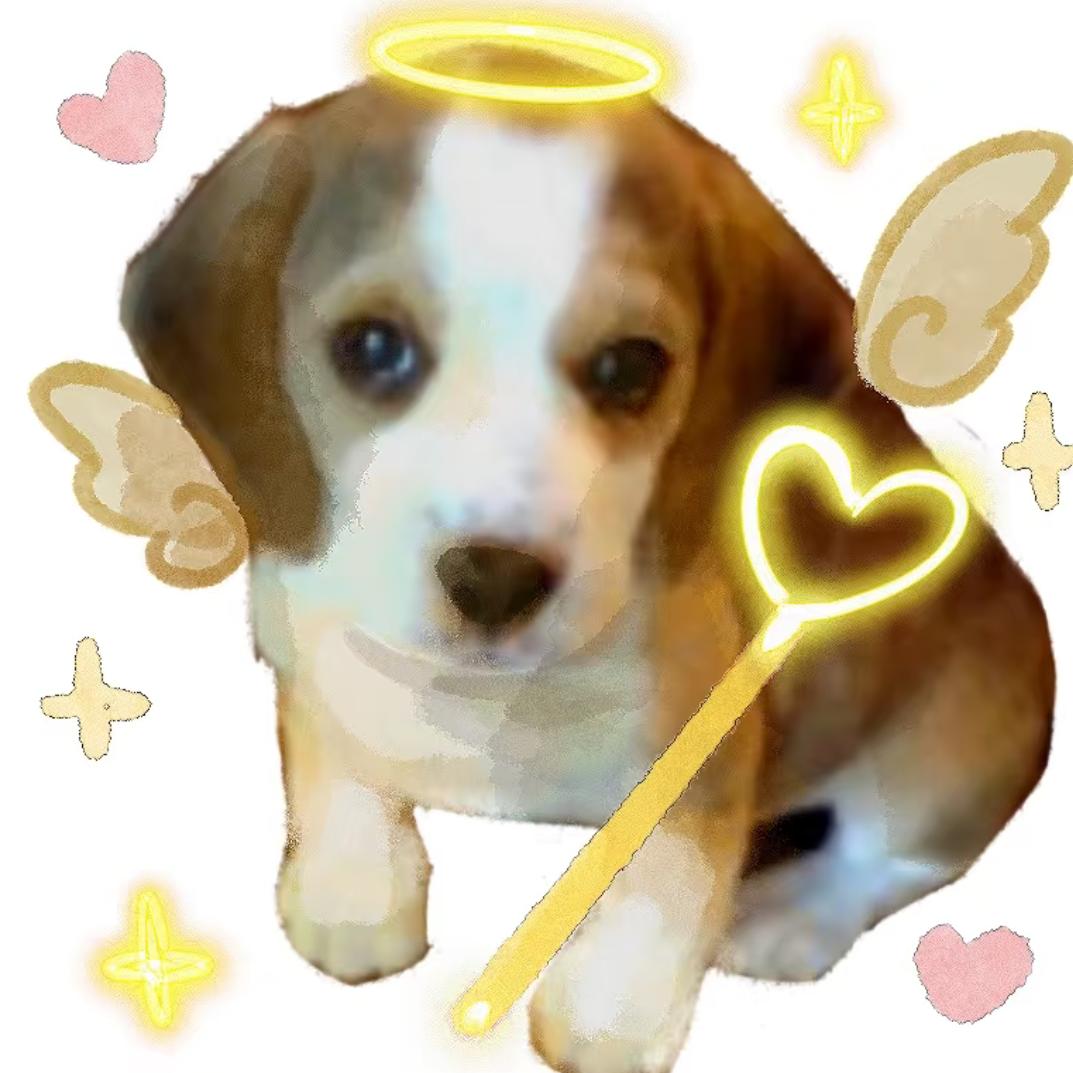 神奇比格