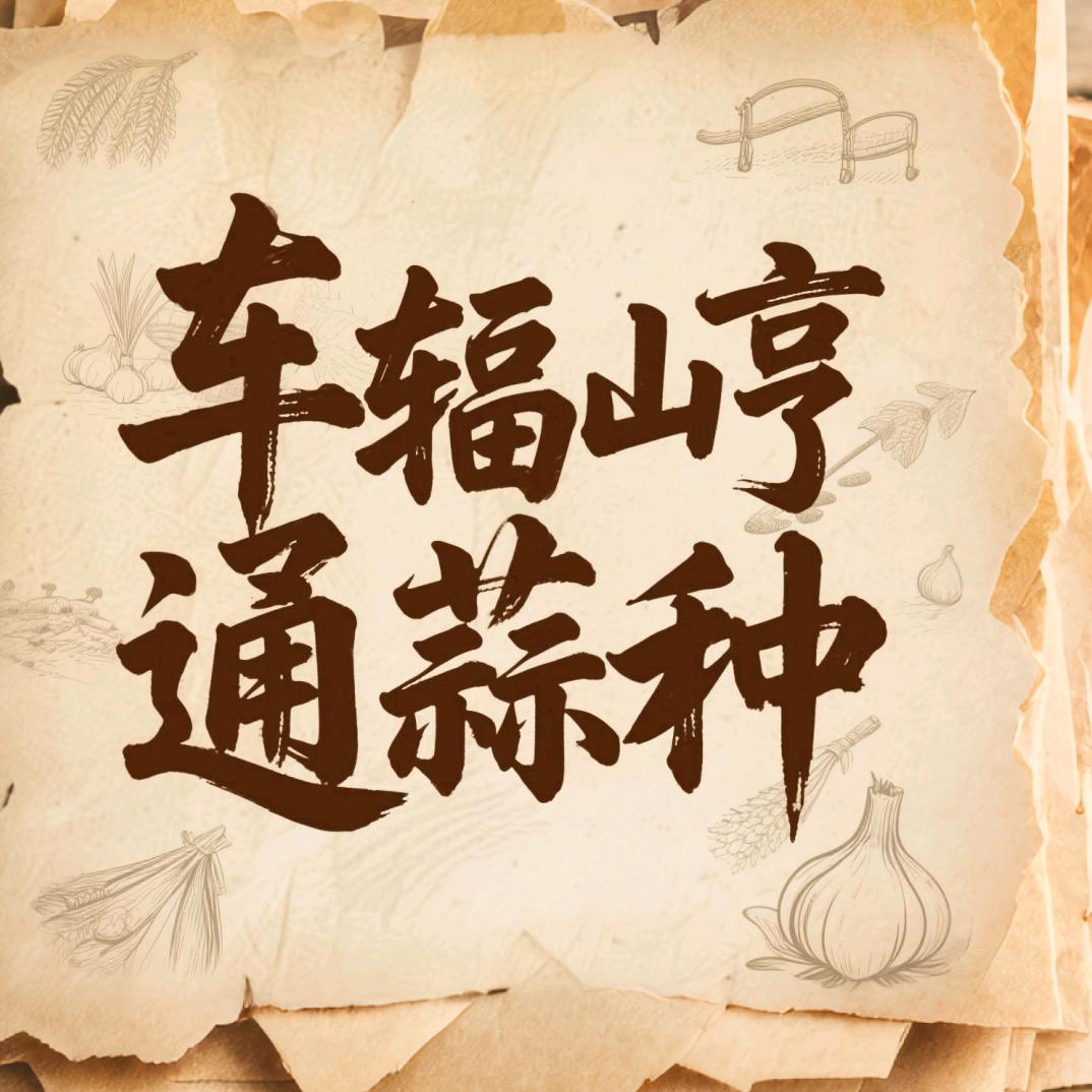 车辐山亨通蒜种