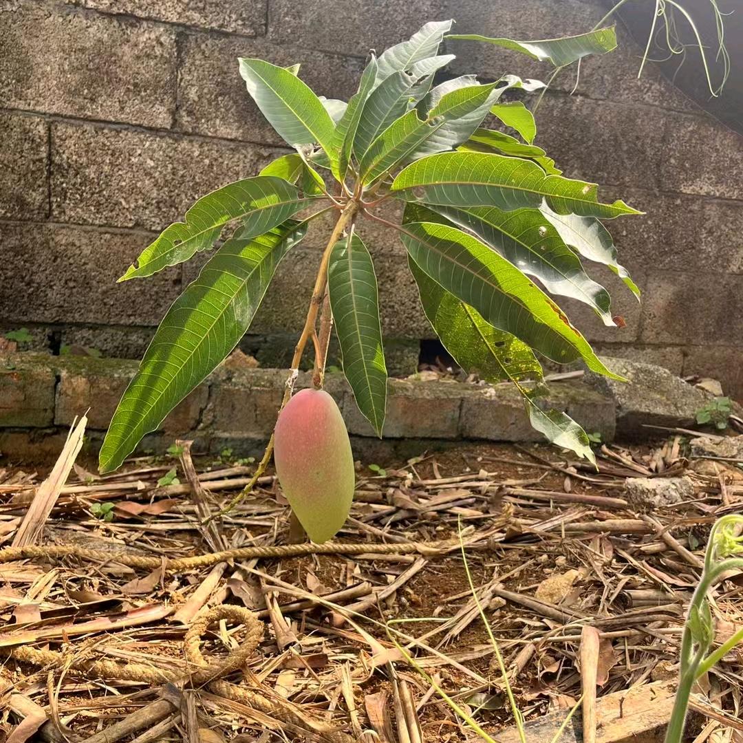帅飘🍃