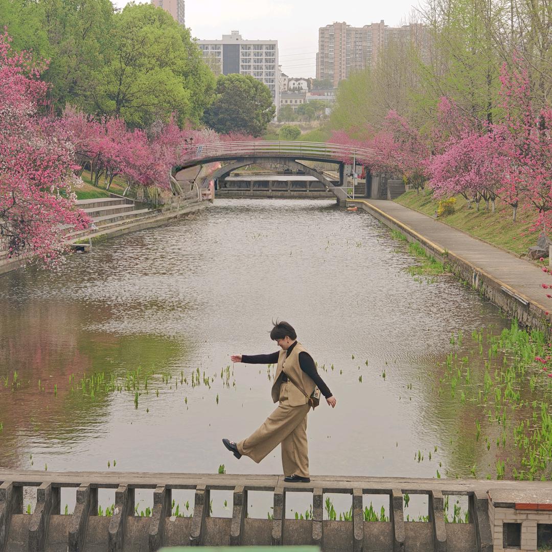 康哥还是宁姐
