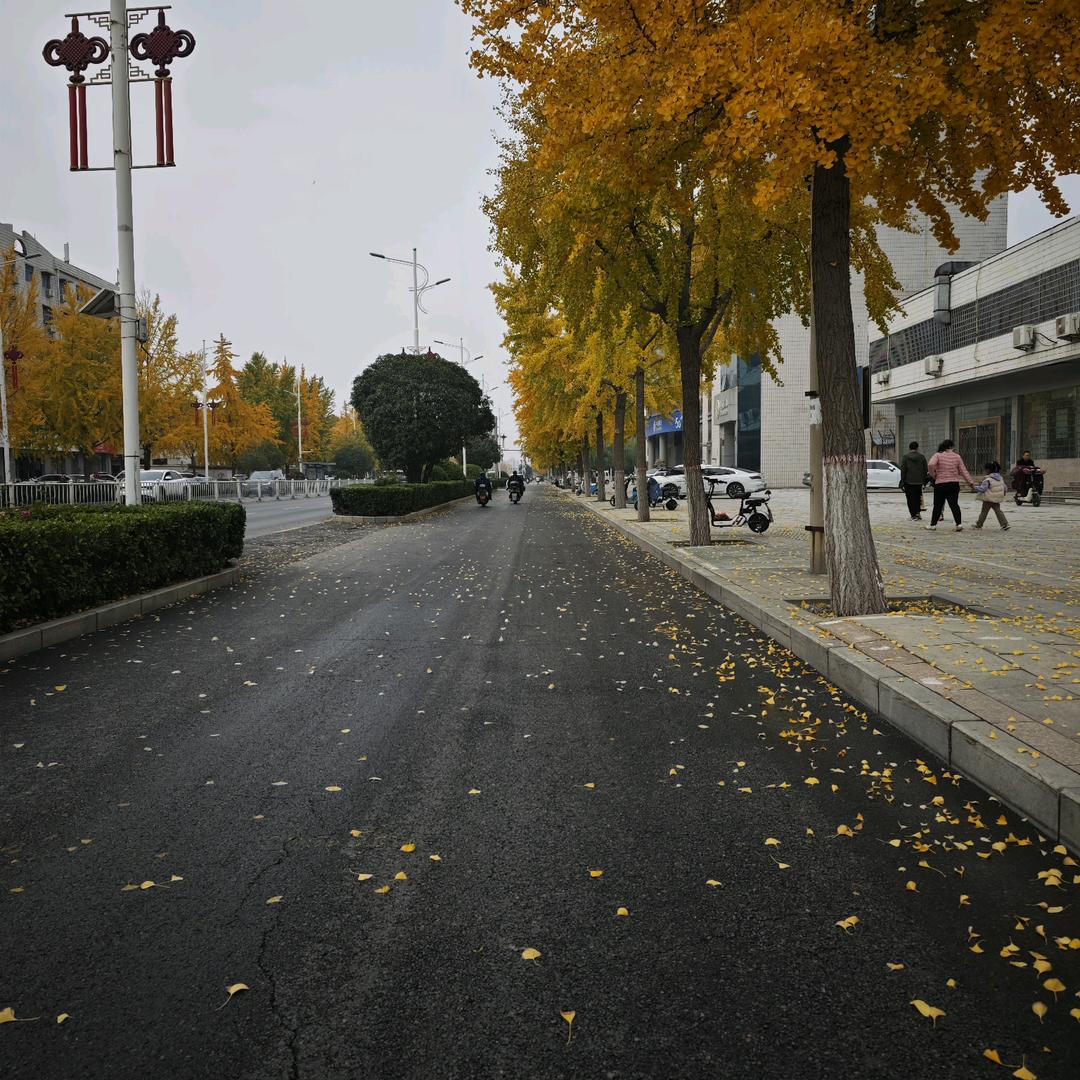 一蓑烟雨.